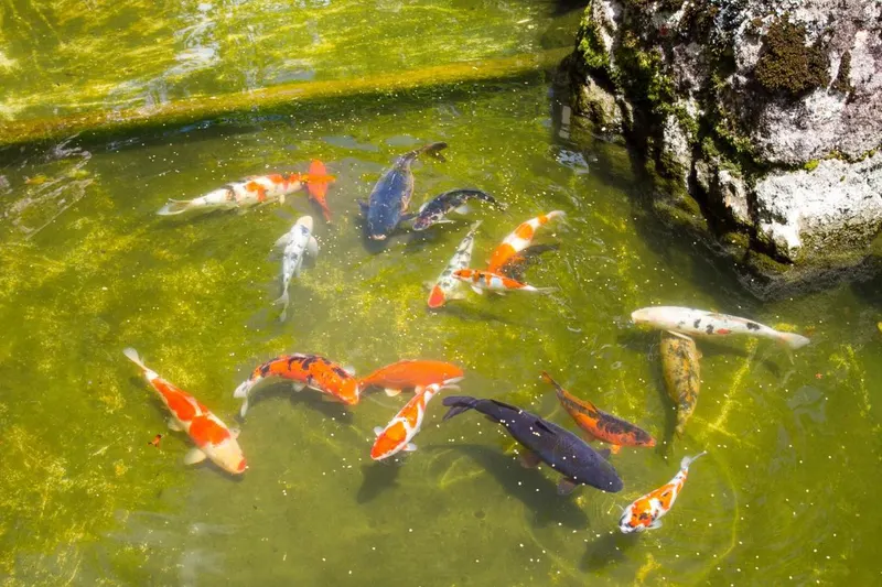 Área externa de Hotel Matsubara