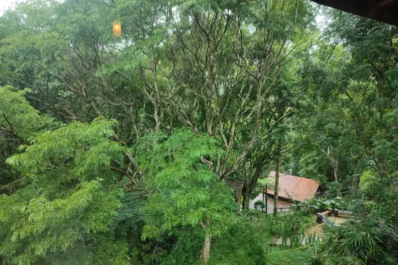 Vista a partir de Pousada Pássaro de Fogo