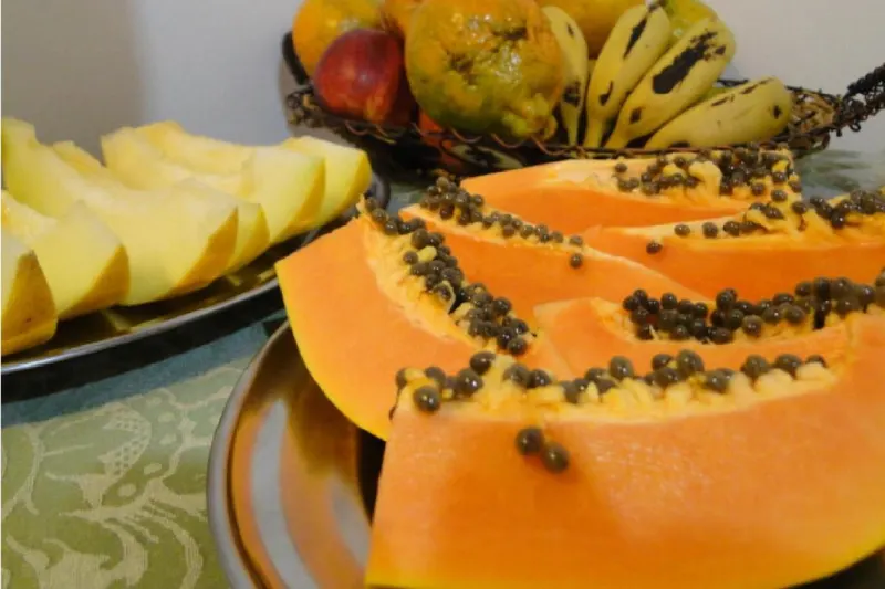 Café da manhã e refeições em Pousada Recanto Siao